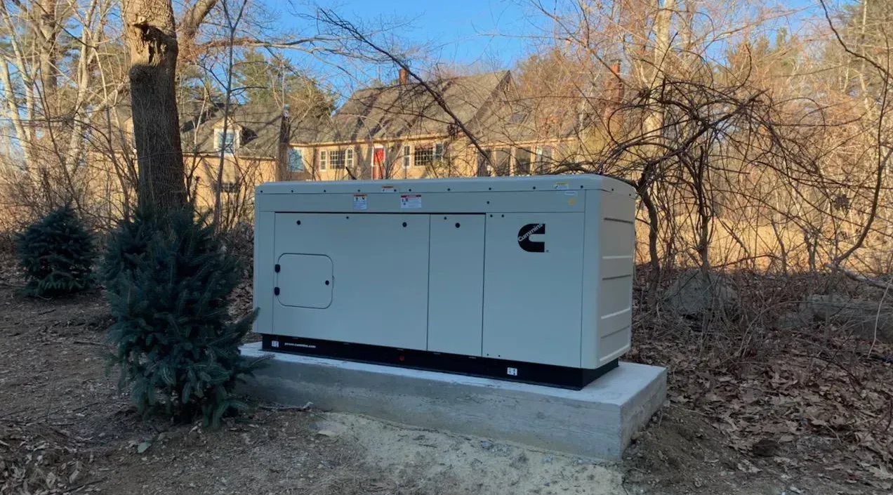 MJS Electrical Services - A large white box is sitting in the middle of a forest.