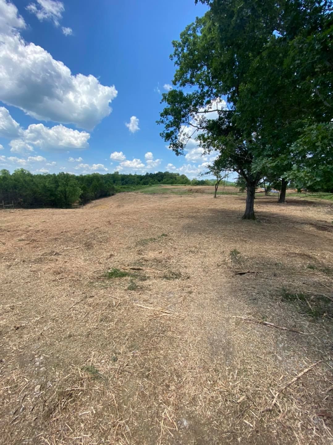 A large, cleared field of wood chips under a blue sky with scattered clouds, bordered by trees on the sides and back.