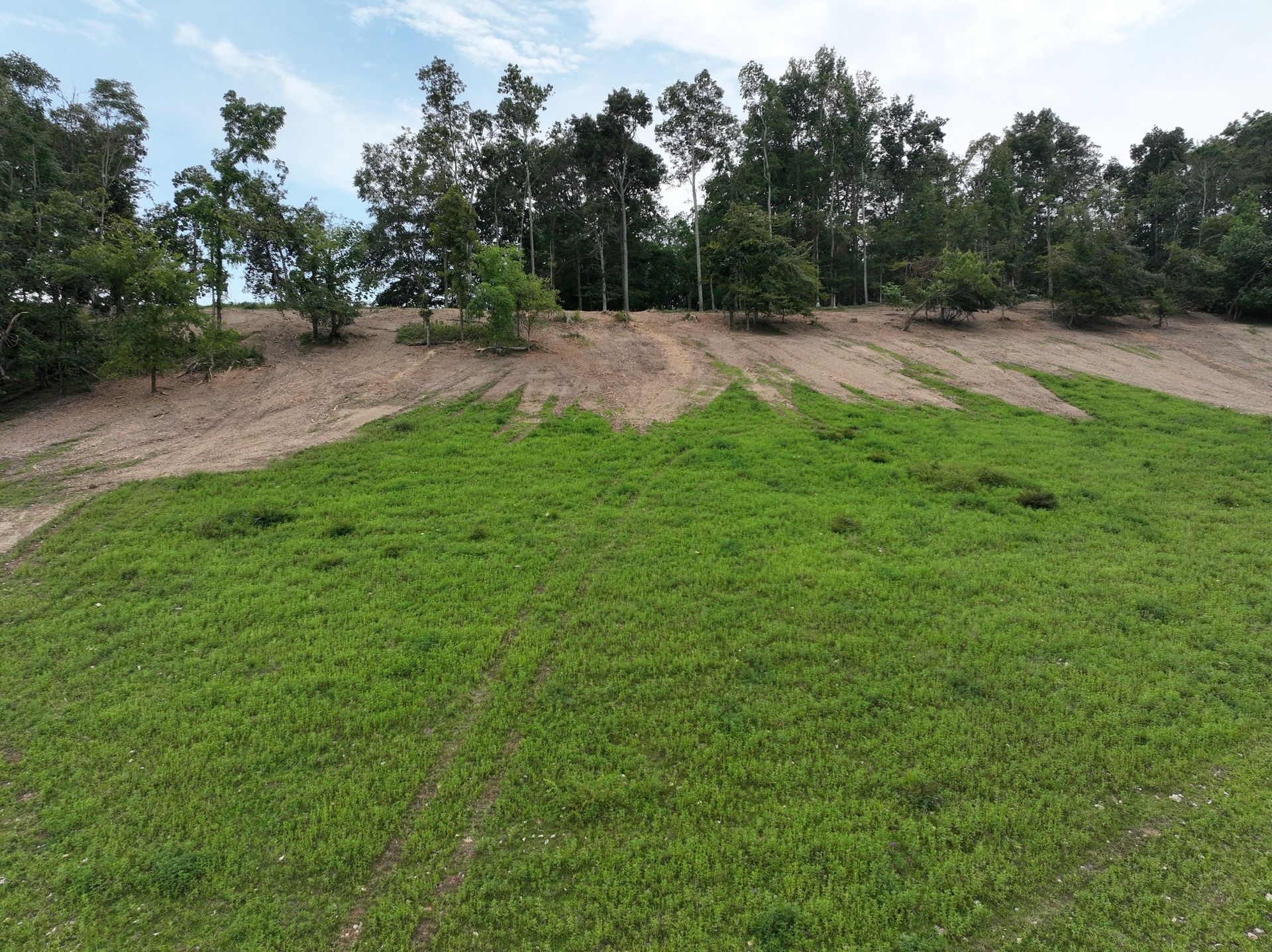 A grassy hill transitions into bare, sandy soil at the edge of a tree line under a cloudy sky.