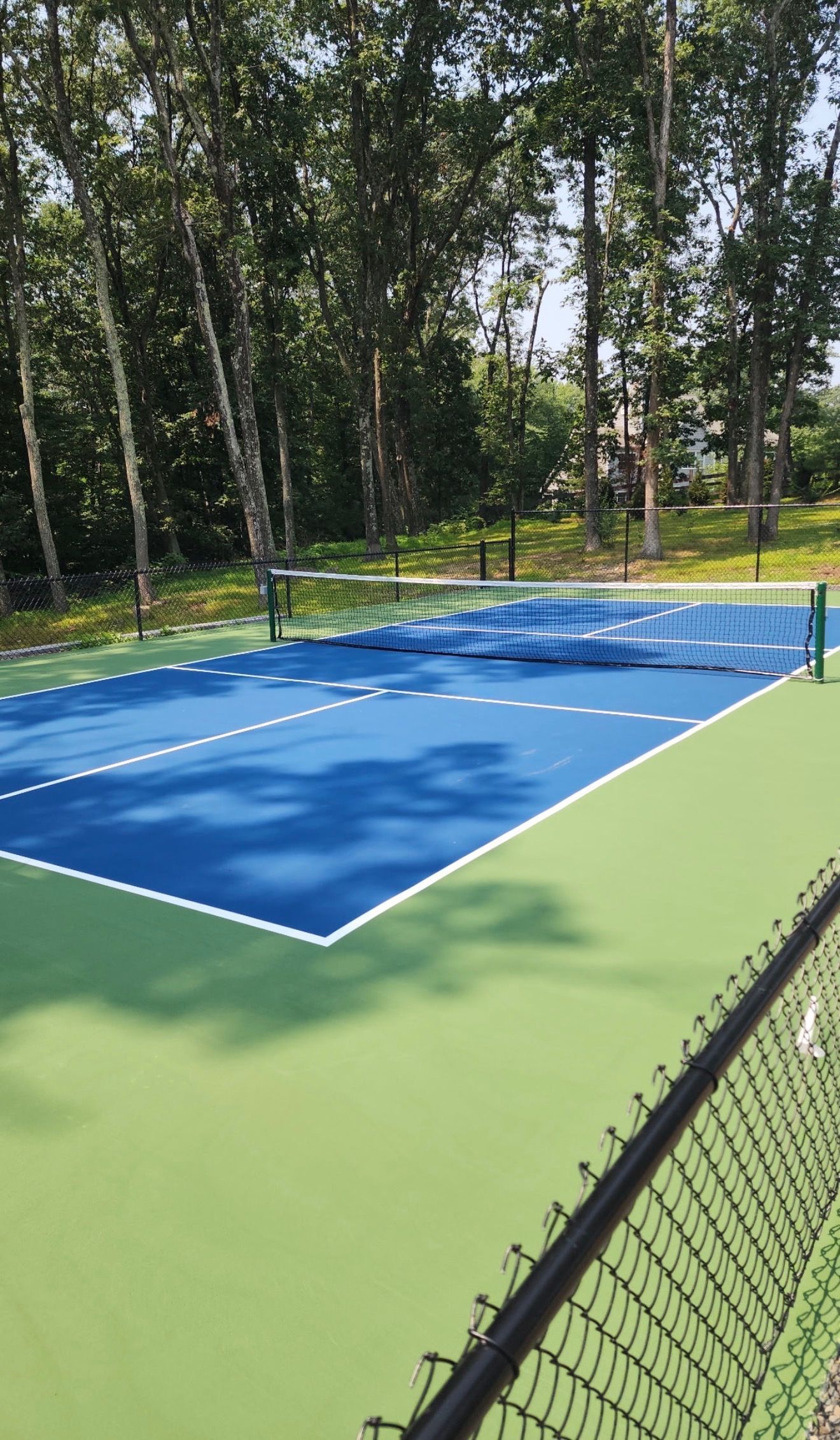 Blue pickleball court with net on a green surface beside a wooded area