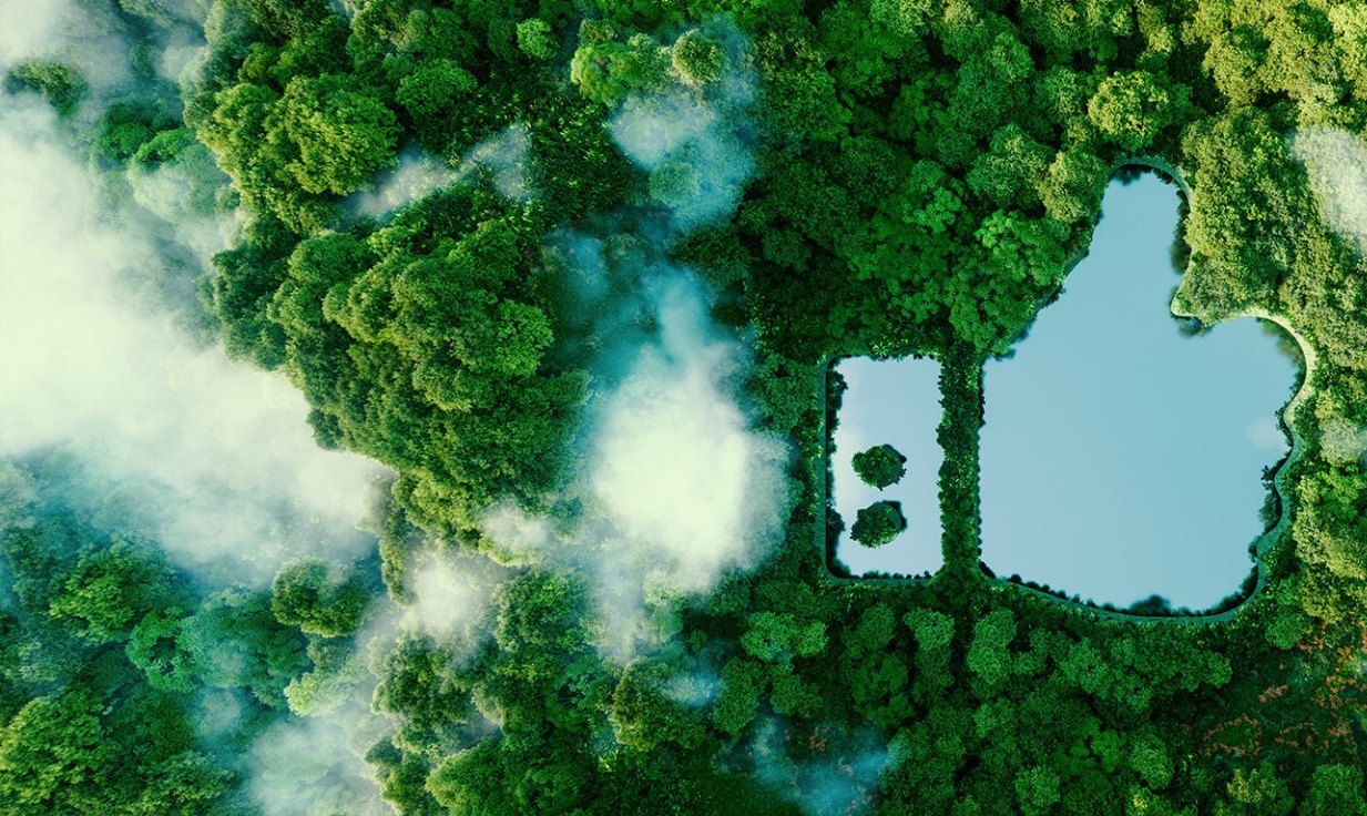 Une vue aérienne d'une forêt avec un panneau indiquant le pouce levé au milieu.