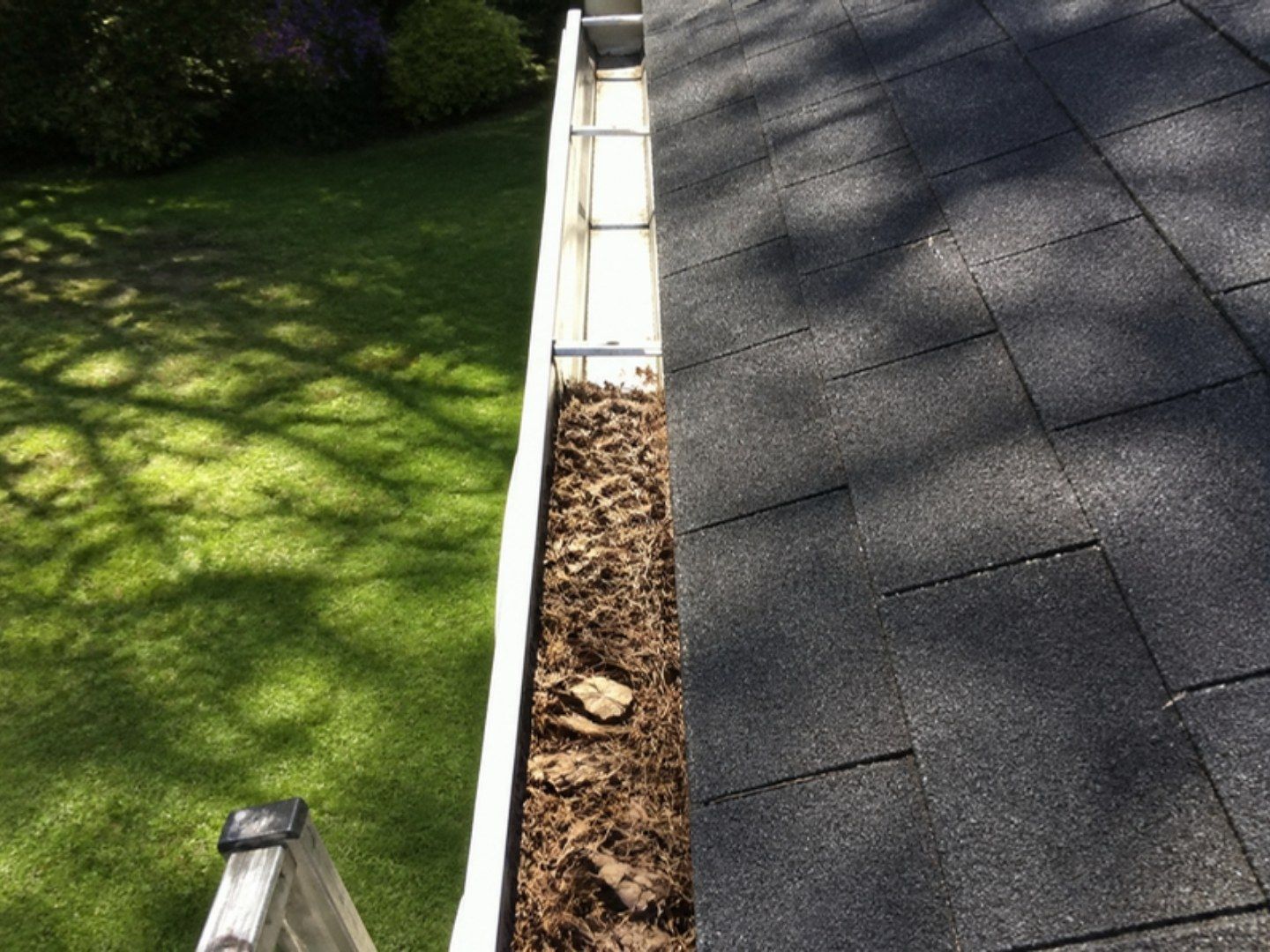 Gutter half cleaned along a shingle roof edge, leaves removed from one section