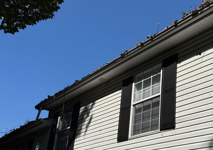 White house siding with black shutters under a blue sky, viewed from below