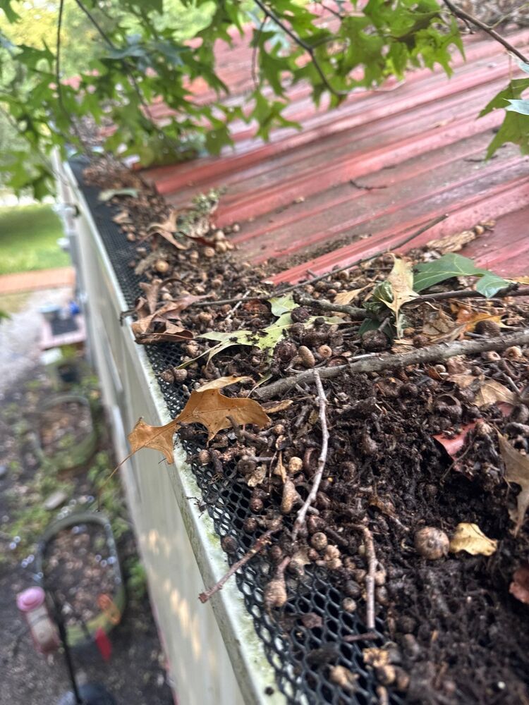 Close-up of a rusty roof edge with debris and weeds beside a black mesh gutter guard
