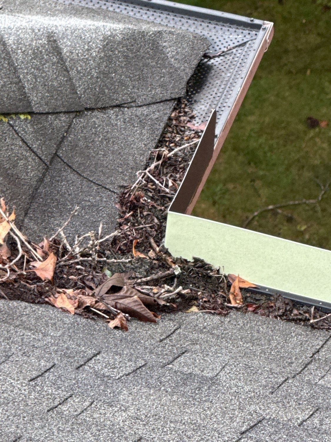 Gutter corner packed with leaves and roof debris before cleaning