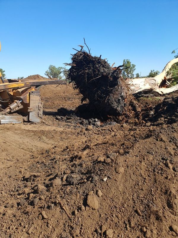 Land clearing