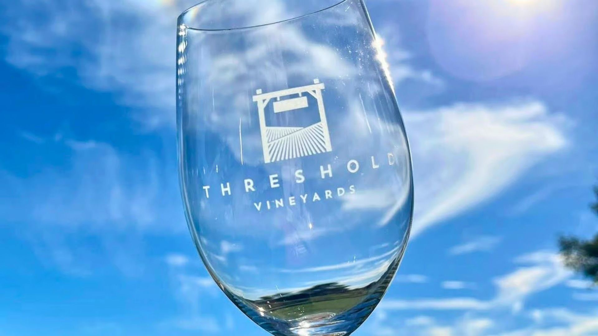 A clear wine glass etched with the