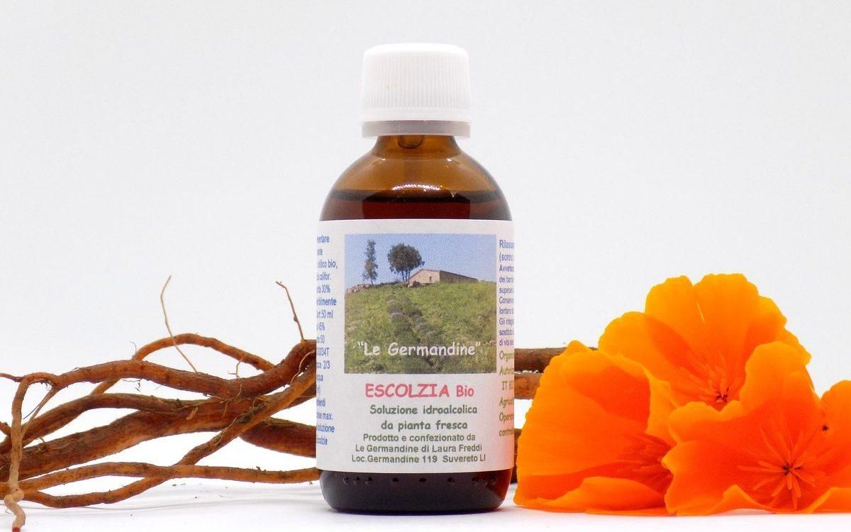 Escolza Bio