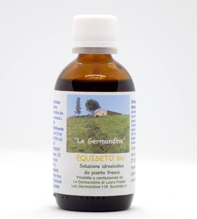 Equiseto Bio