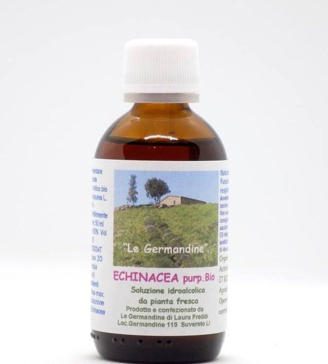 Echinacea Bio