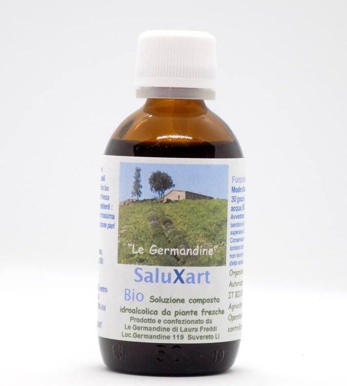 saluxArt