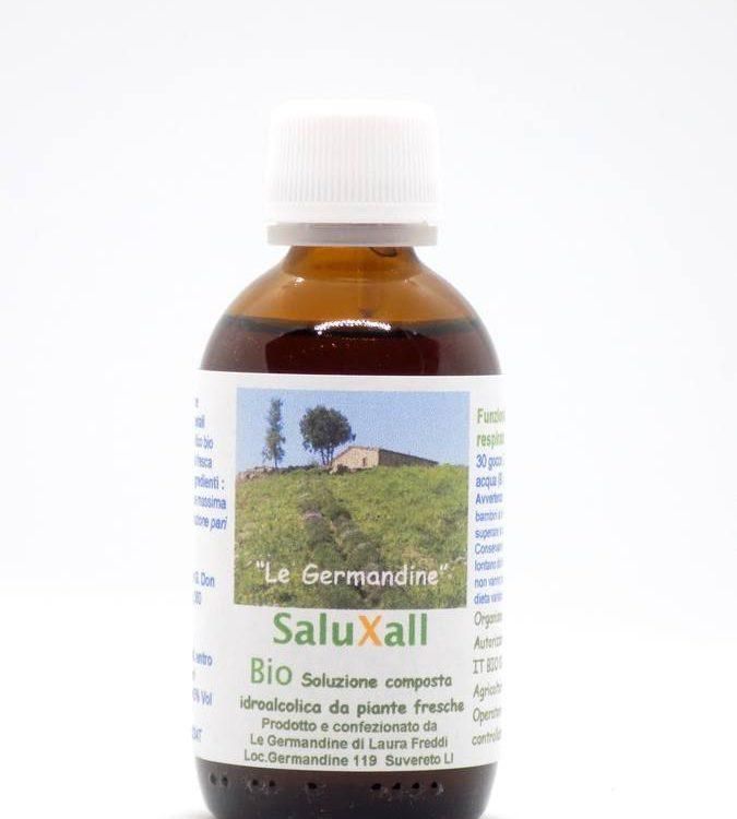 saluXall
