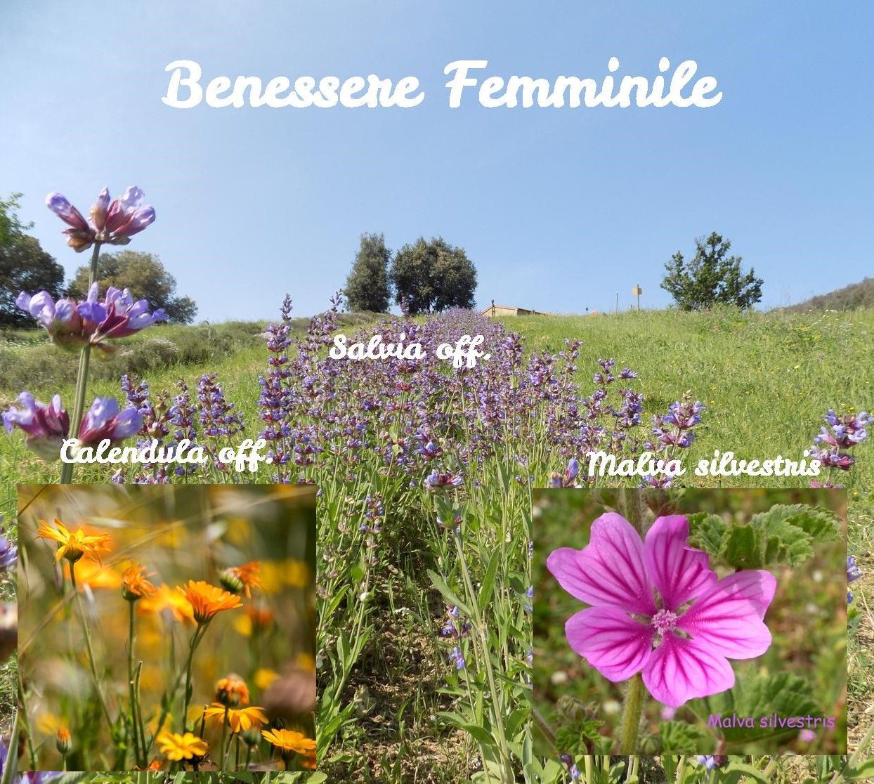 Benessere femminile