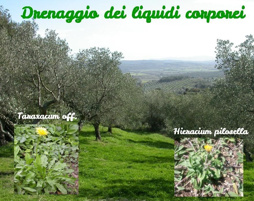 Drenanti diuretici