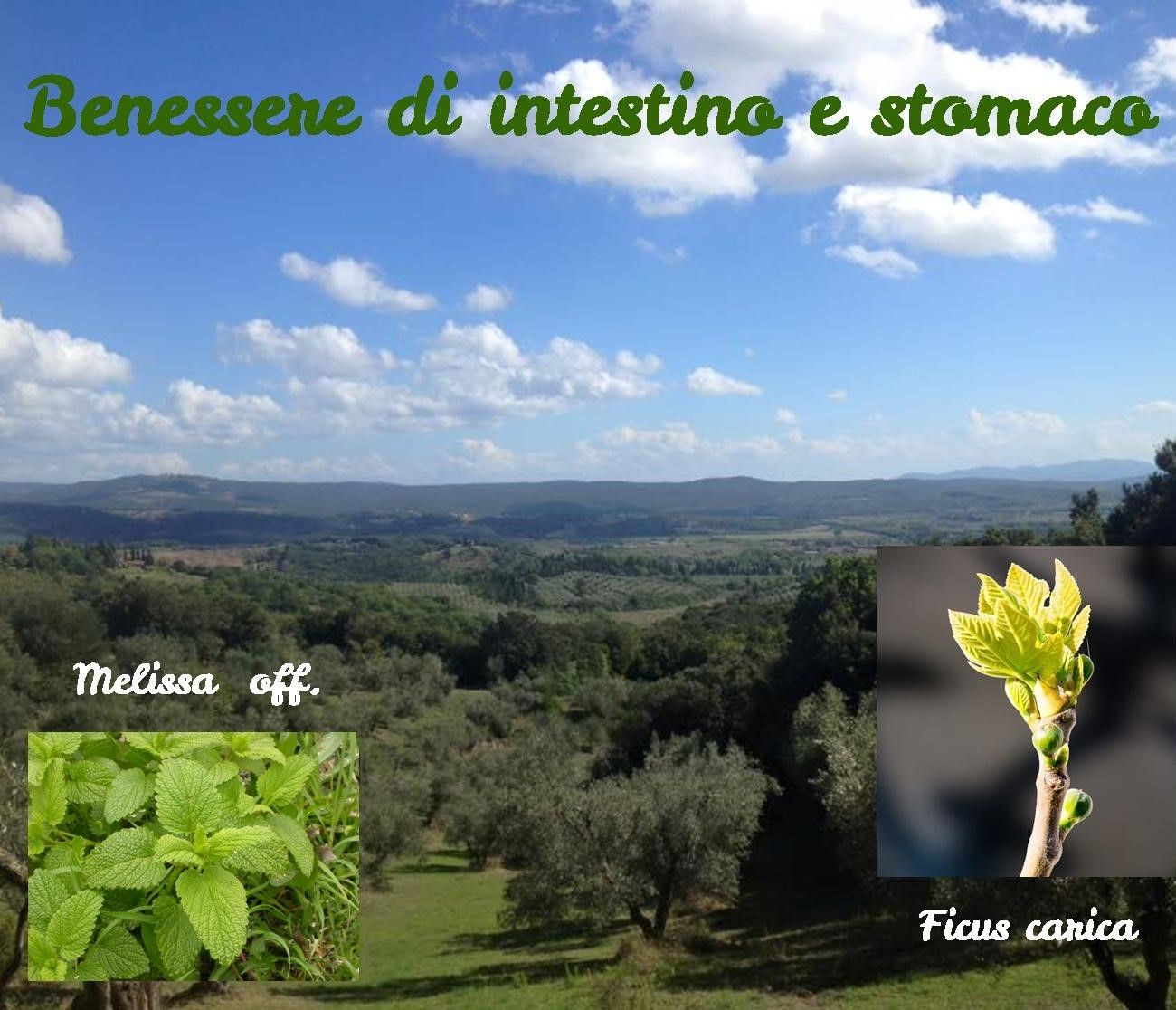 Benessere intestino e stomaco