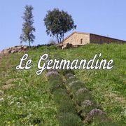 Logo Le Germandine di Suvereto