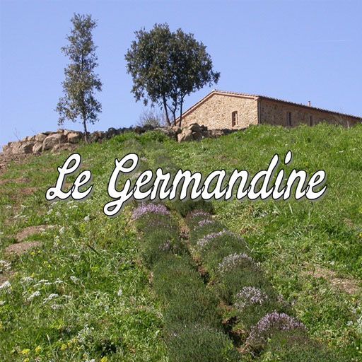 Logo Le Germandine di Suvereto