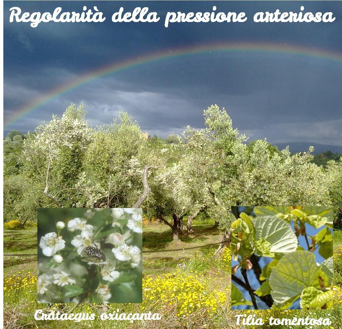Pressione arteriosa