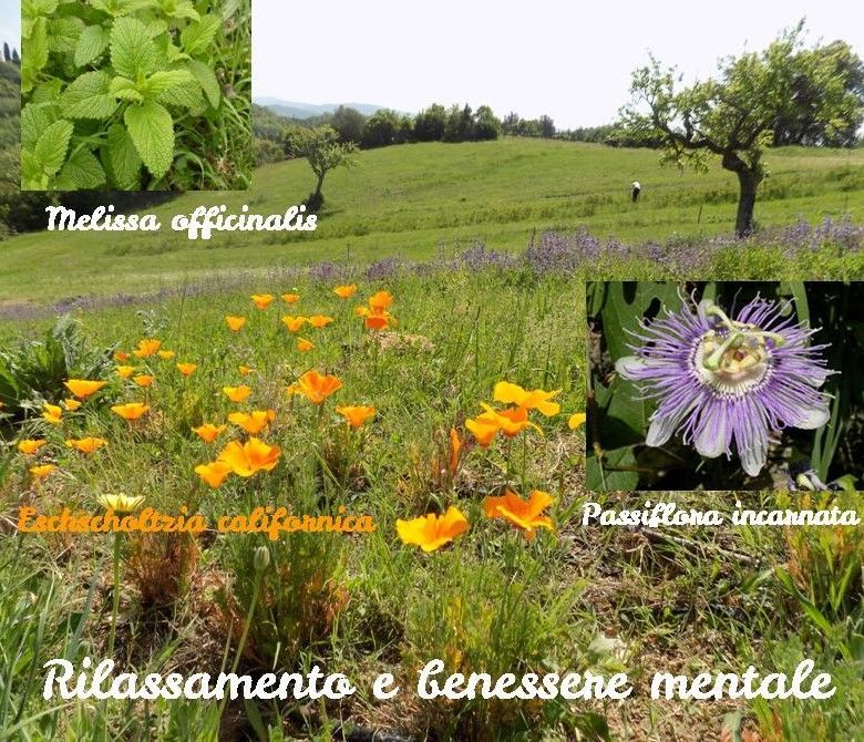 Rilassamento e benessere mentale
