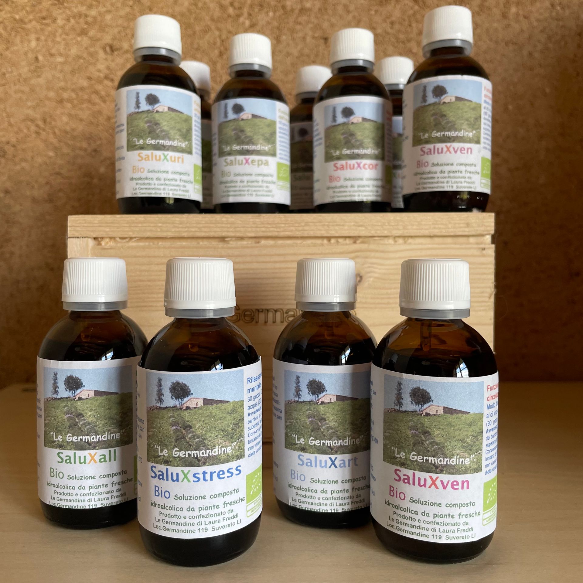 Linea salus per Herbas