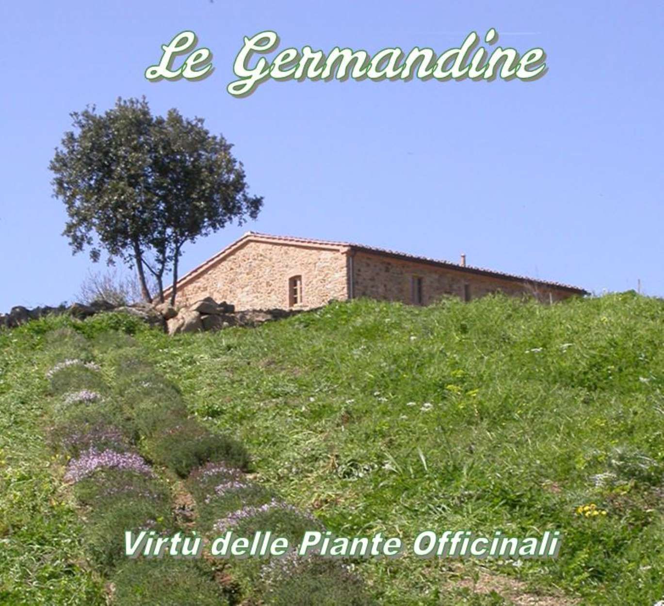 Le Germandine