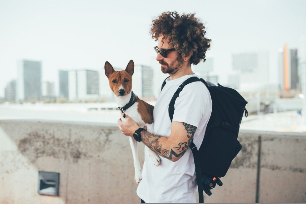 City view with a dog