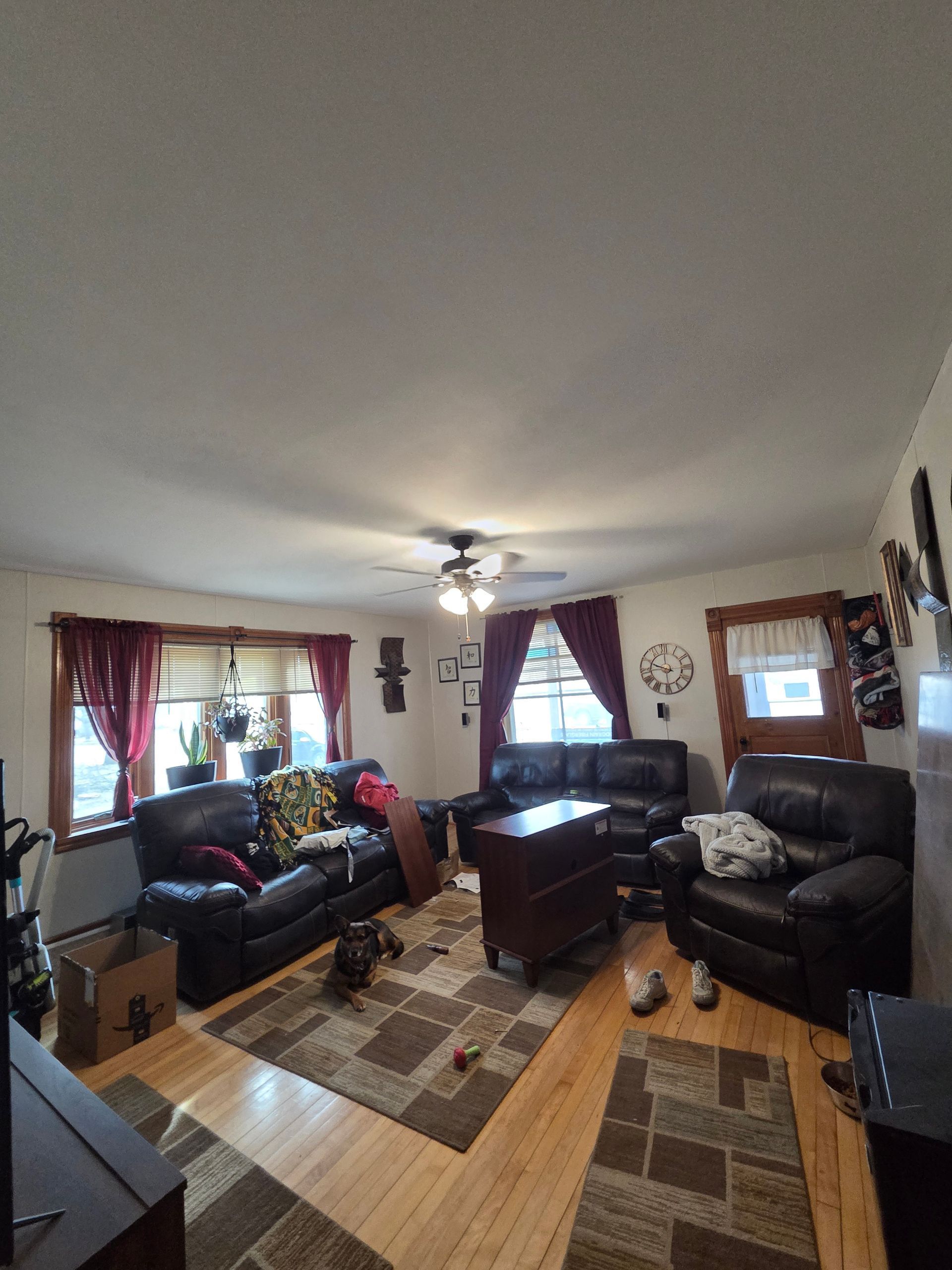 Living room with sofas, rug, coffee table, ceiling fan, and windows with curtains