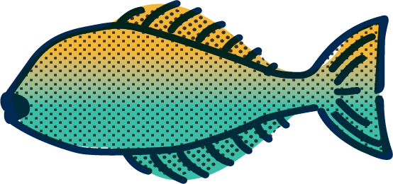 An illustration drawing of a halibut
