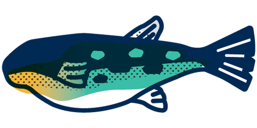 A colorful cartoon fish with dark blue and turquoise patterns on its body.