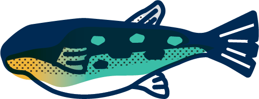 An illustration drawing of a lingcod