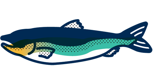 Illustration of a fish with a blue body and turquoise and yellow accents.