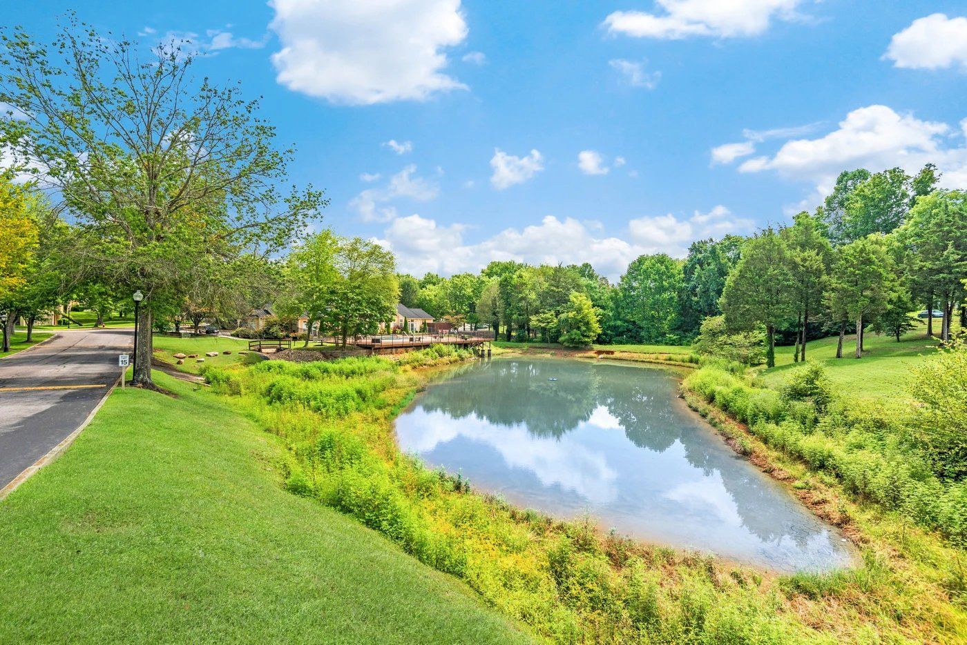 Sunny park pond bordered by green grass and trees under a blue sky with clouds at Steeplechase Apartments for Rent in Knoxville, TN.