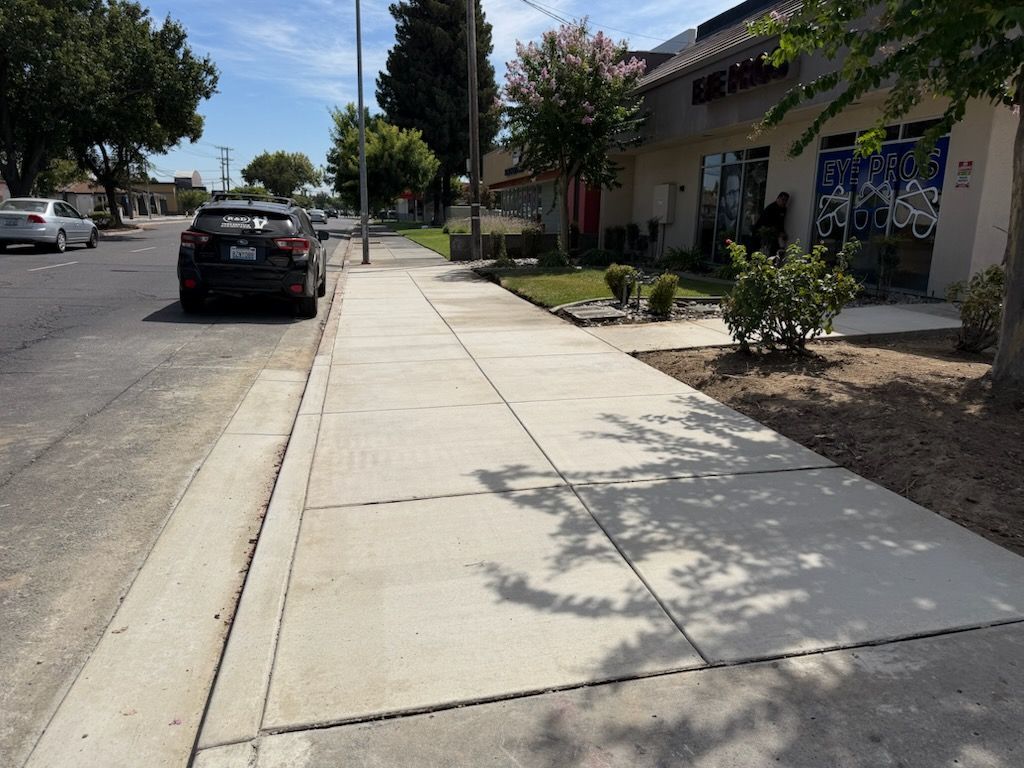 Urban garden with green shrubs, flowers, and young trees beside a sidewalk and modern buildings