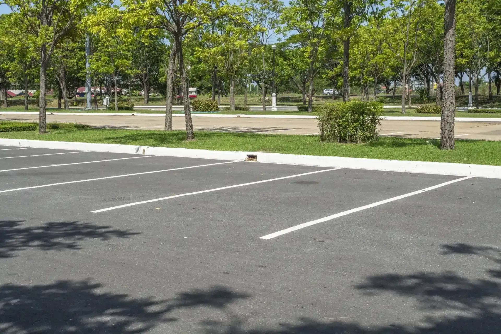 Empty parking lot with white lines beside a grassy park and trees on a sunny day