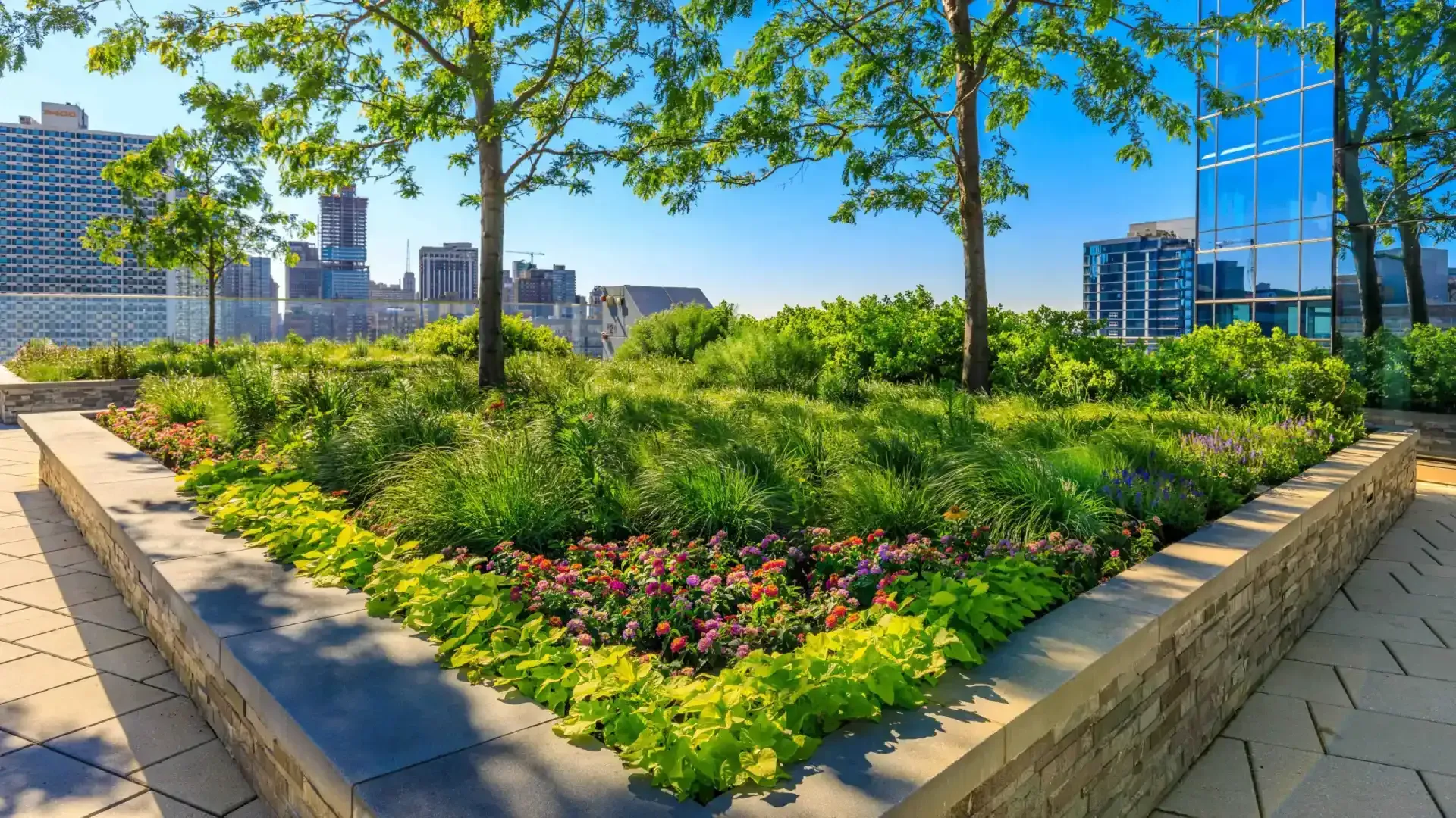 Urban garden with green shrubs, flowers, and young trees beside a sidewalk and modern buildings
