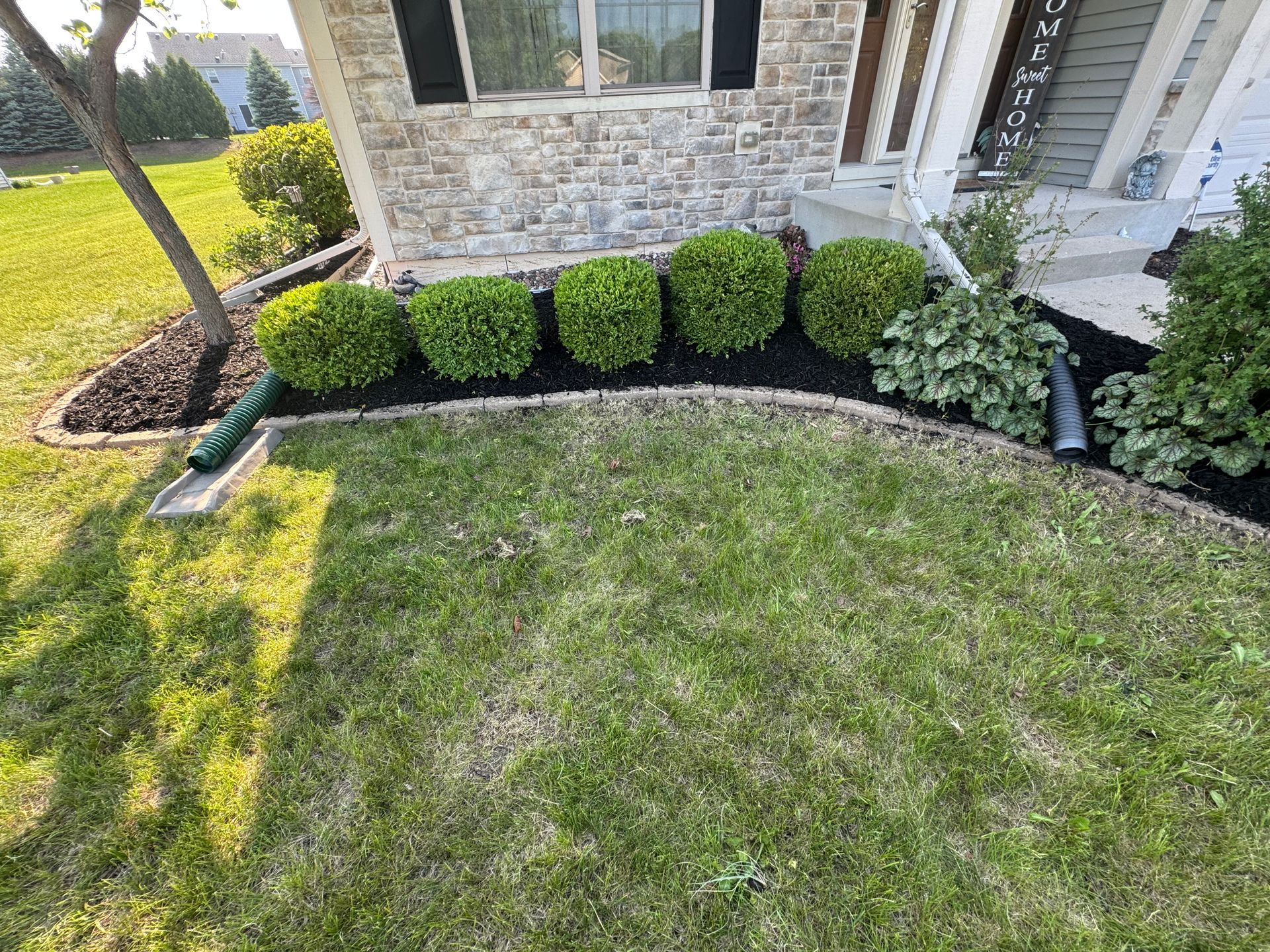 Green shrubs neatly lined in front of a brick house, black mulch, and green grass.