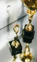 Gold trophies on reflective surface, one small award in front of a larger trophy.