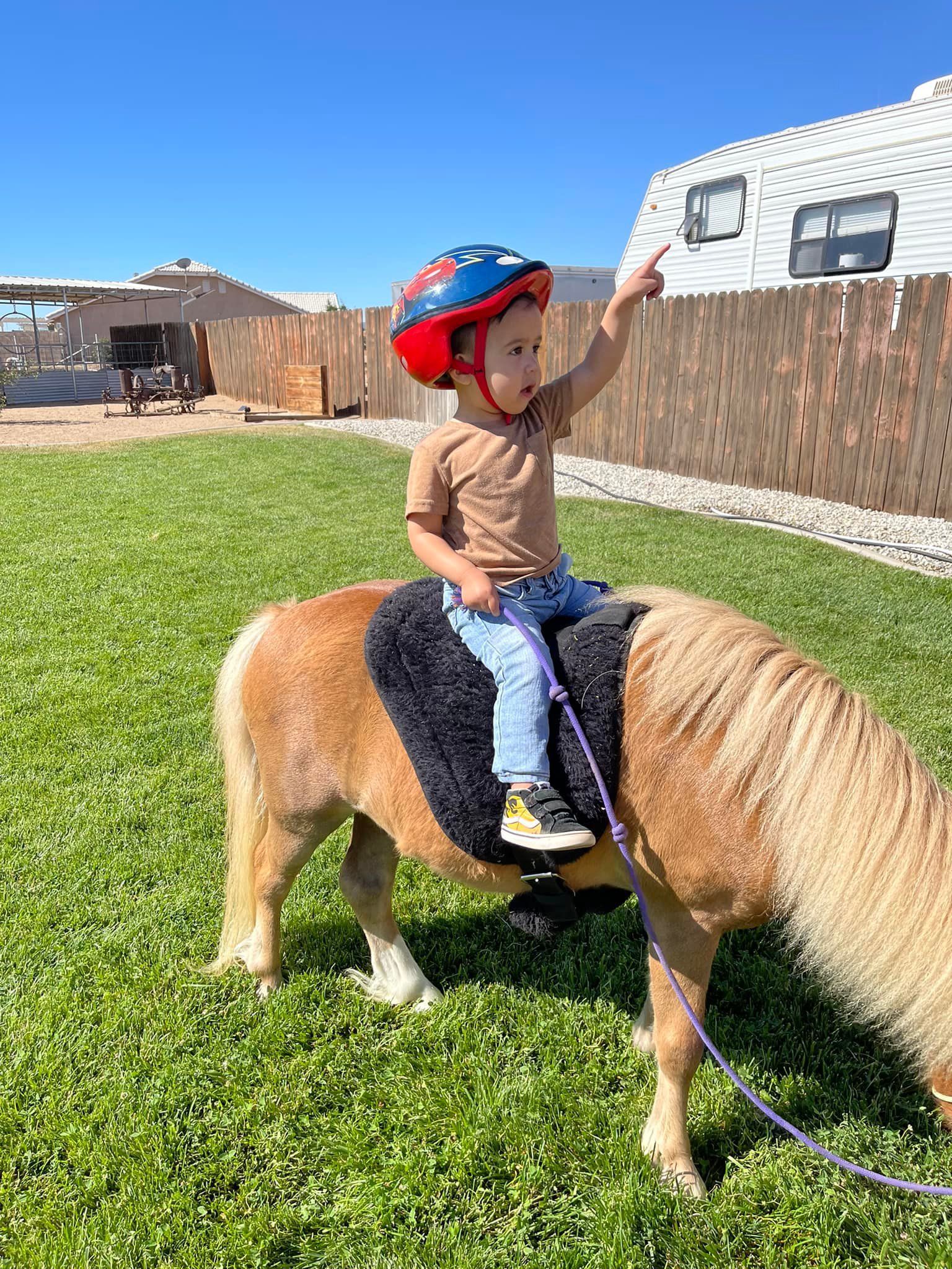 A little boy is riding on the back of a pony.