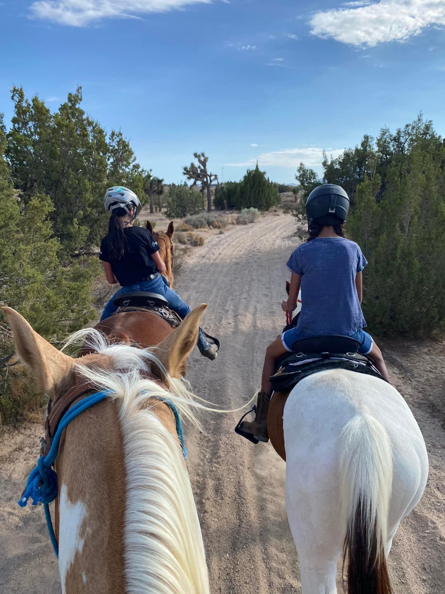 Two people are riding horses down a dirt road.