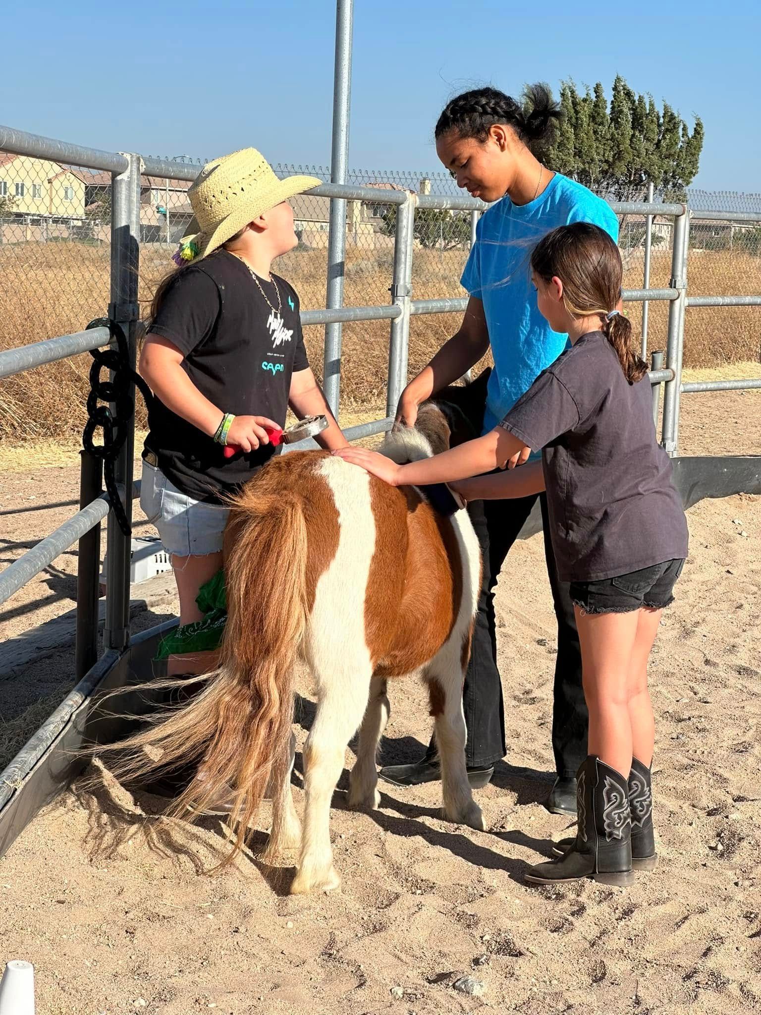 Two girls are petting a brown and white pony