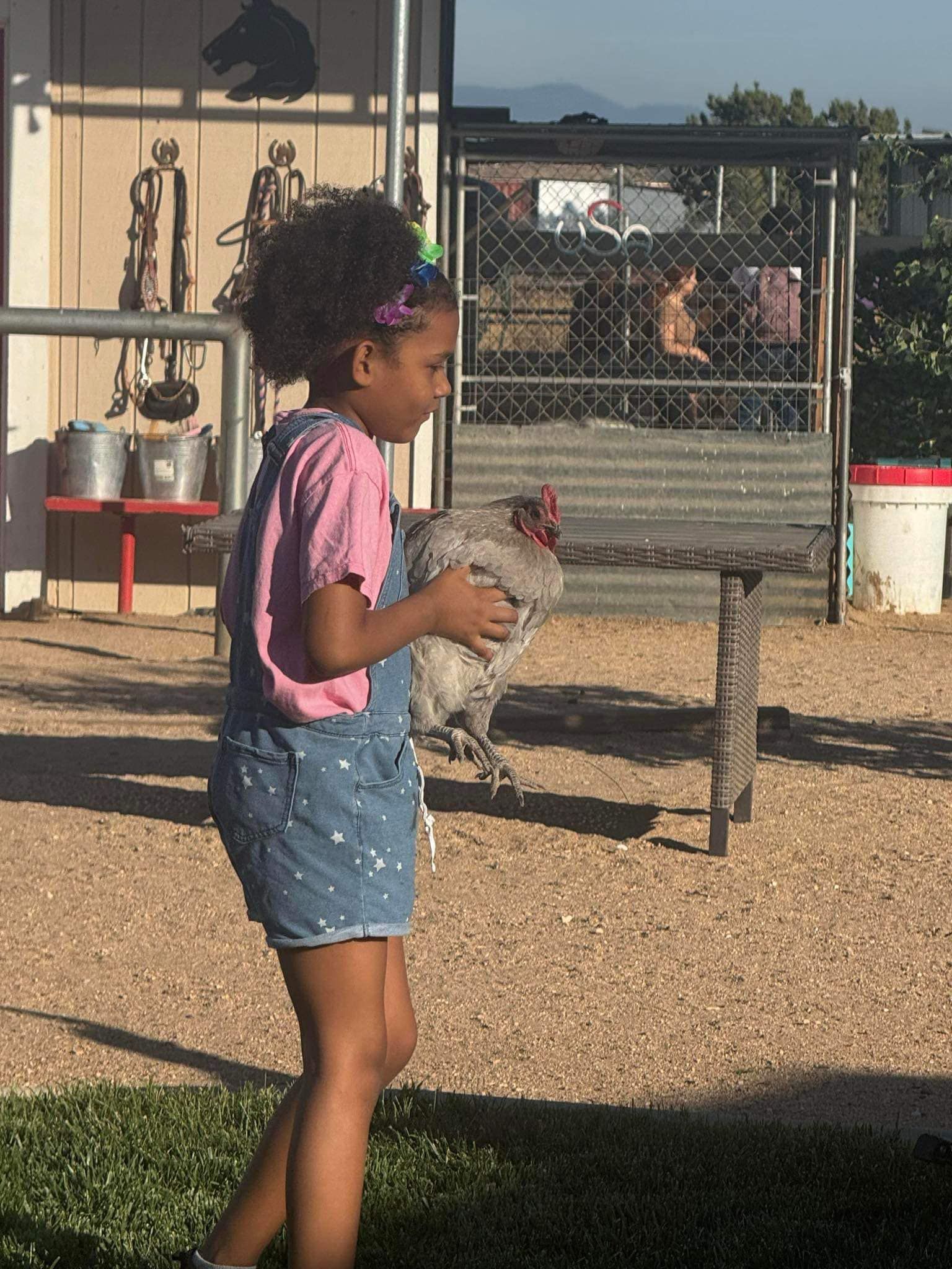 A little girl is holding a chicken in her hands