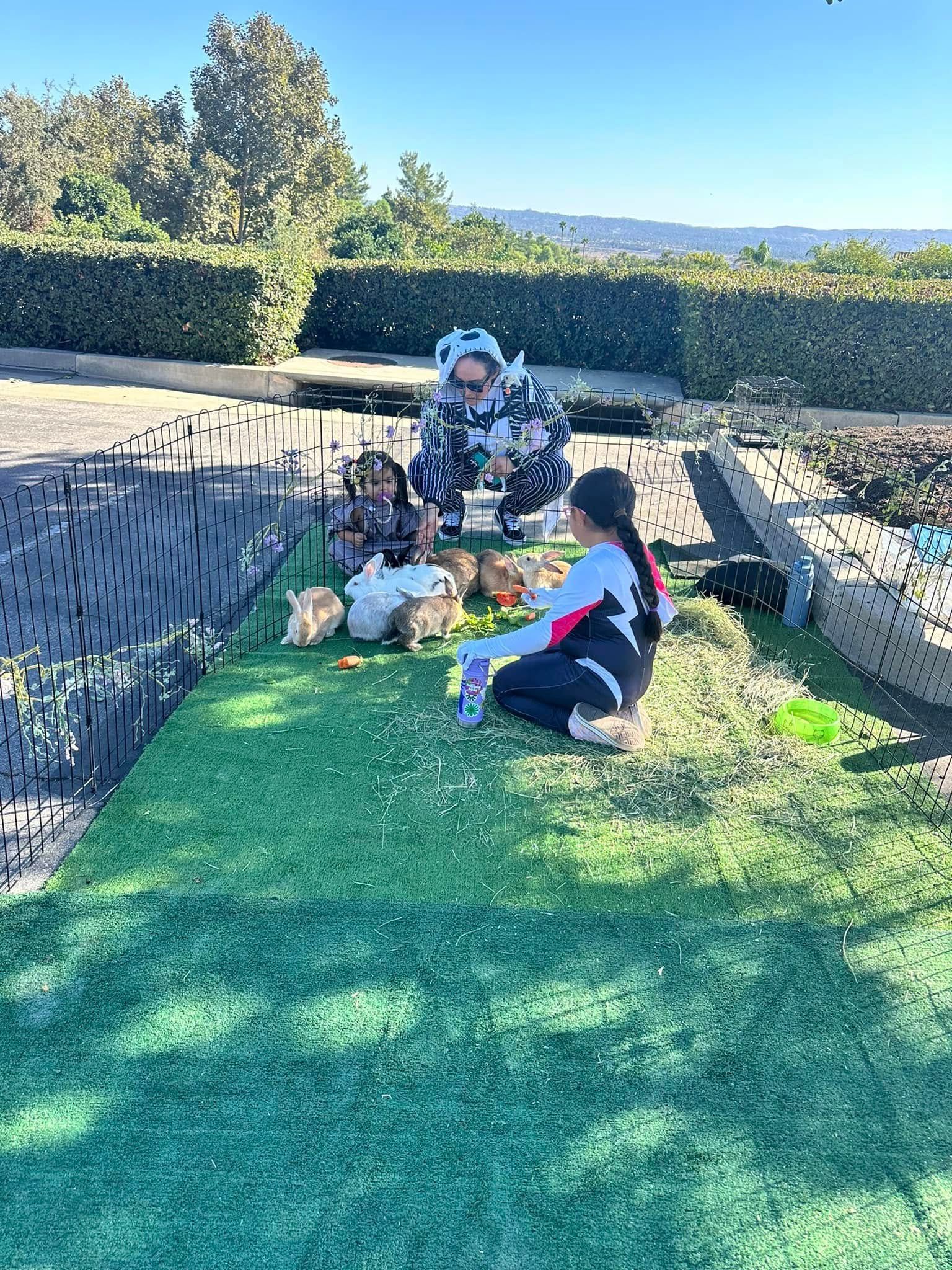 A man and two children are playing with rabbits in a fenced in area.