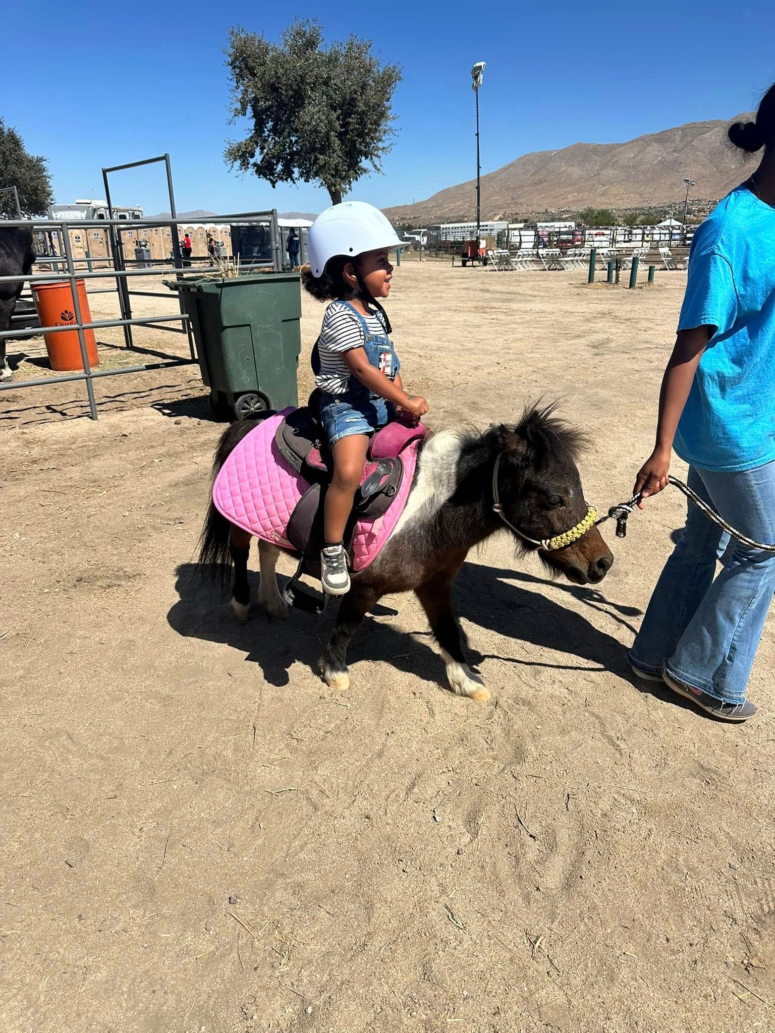 A little girl is riding on the back of a pony