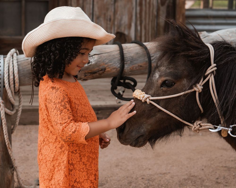 A little girl in a cowboy hat is petting a brown horse.