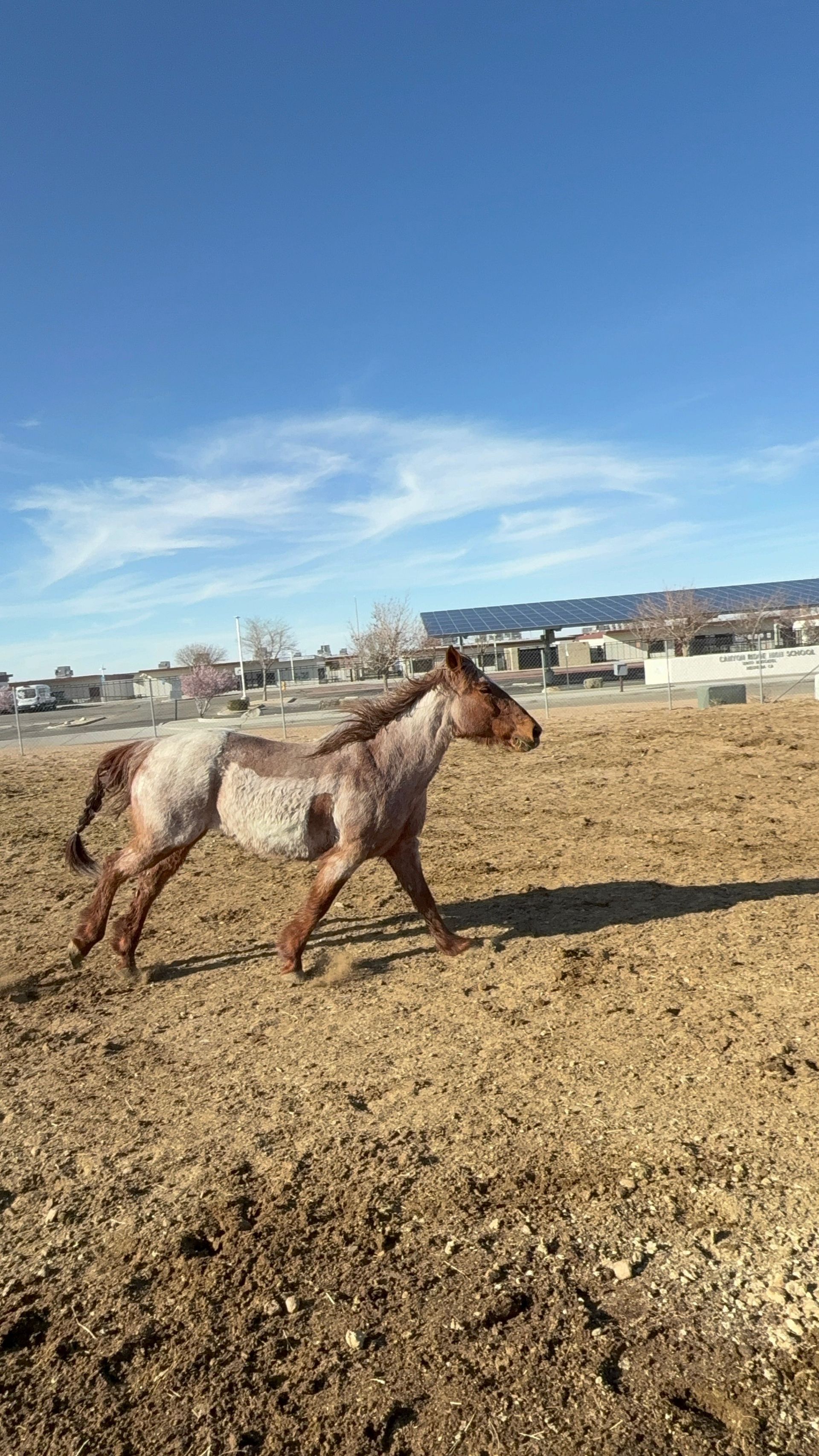 A little girl is riding a pony in a dirt field.