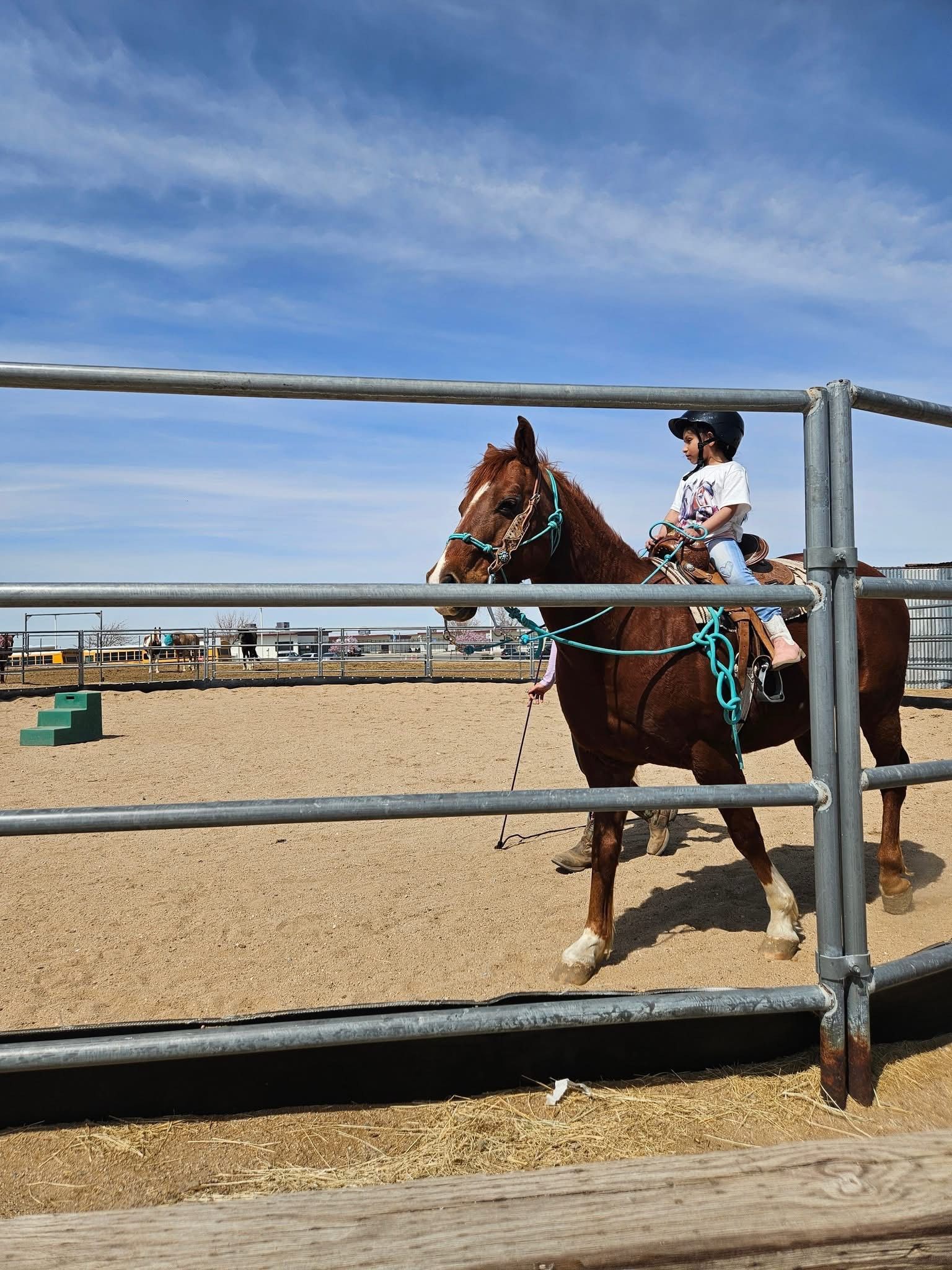 A child is riding a brown horse through a fence