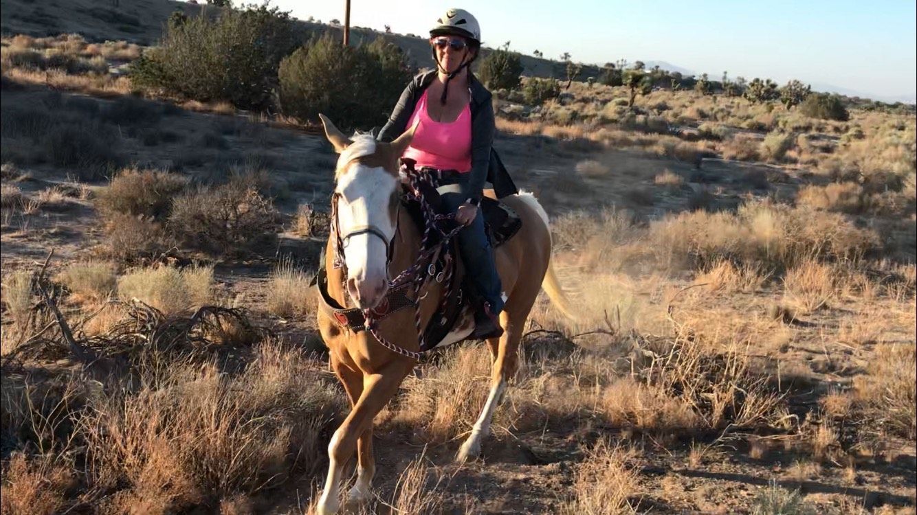A little girl is riding on the back of a pony