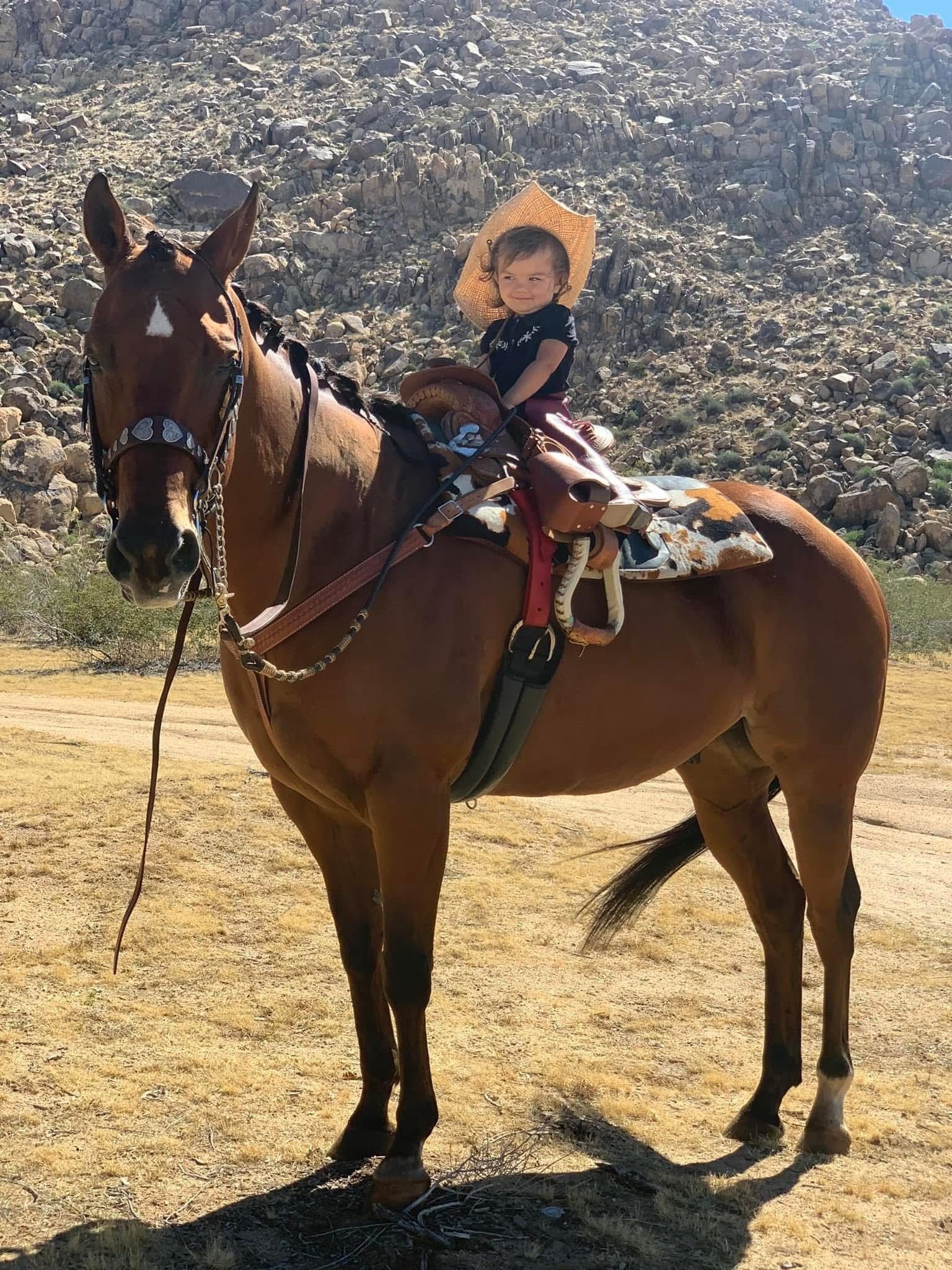A child in a straw hat sits on a brown horse, desert background.