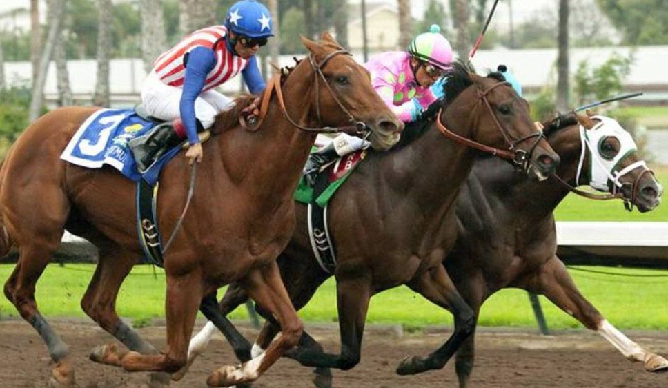Racehorses with jockeys compete on a dirt track. Horse in the lead wears number 3; others are close behind.