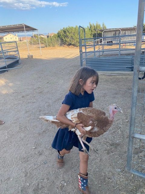 A little girl is holding a turkey in her arms